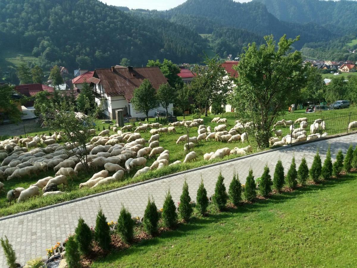 Pokoje U Celinki Szczawnica Exterior photo
